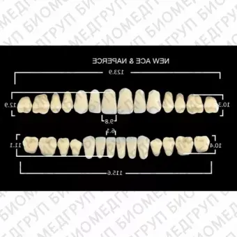 Гарнитуры пластмассовых зубов TL4 M33, цвет A3, 28 шт.