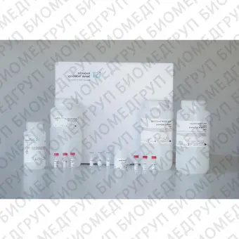 Набор реактивов в растворе deltaPREP AniPath DNA/RNA Kit KFFLX