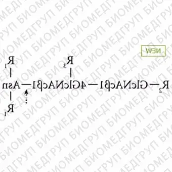 AdvanceBio NGlycanaseultra PNGase F, без ЭДТА, 10 ЕД/мл ранее ProZyme