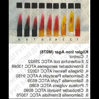 Среда Клиглера 500 г ФСЗ 2009/03705