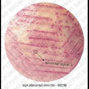 Агар HiCrome для сальмонелл 100 г ФСЗ 2009/03705