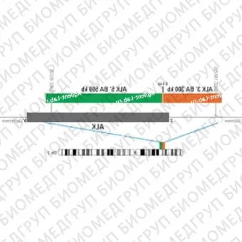 ДЛЯ КЛИЕНТОВ из США. SureFISH ALK BA P20. ALK, Break Apart, 20 тестов, FITCCy3, концентрат, ручное использование