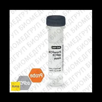 Набор FGFR2 S252W мутация PrimePCR ddPCR, 200 реакций, BioRad, 1863119