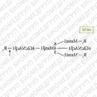 AdvanceBio Endoglycosidase H ранее ProZyme