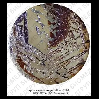 Агар висмутсульфитный модифицированный ФСЗ 2009/03709
