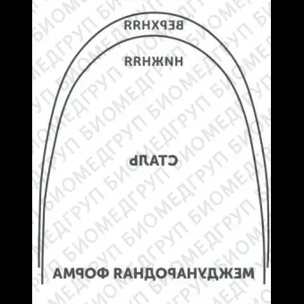 Дуги ортодонтические международная форма нижние INT Niti TA L .016/.41 OrthoClassic