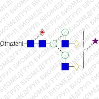 AdvanceBio InstantQ G2FS1 2,6 / FA2G2S61 Стандарт Nгликанов ранее ProZyme. Nгликан моно2,6сиалилированный, галактозилированный двухантенный комплекс Nгликан, ядро которого замещено фукозой, меченный InstantQ для использования в качестве к