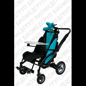 Коляска для детейинвалидов Caretta Buggy