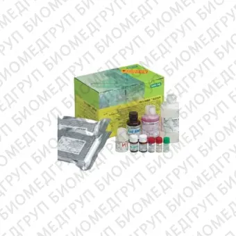 Набор ИФА Platelia Rabies II Kit для обнаружения и титрования антител к вирусу бешенства в крови животных, 192 теста2 планшета
