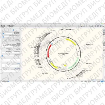 Программное обеспечение для микробиологии SnapGene