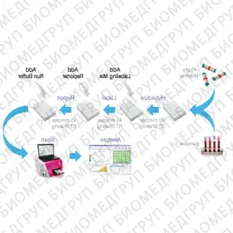 Панель для профилирования миРНК, Multiplex miRNA Assay Breast Cancer Panel  Cellular, Abcam, ab203183, 96 тестов