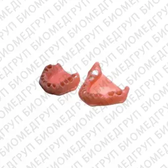 E06G сменные десны для фантомной челюсти эластичные розовые