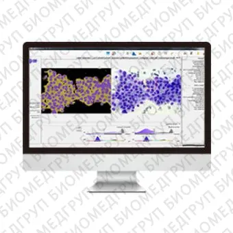 Программное обеспечение клеточной визуализации AmCADCA