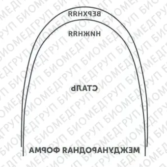 Дуги ортодонтические международная форма Нержавеющая сталь для нижней челюсти SS L .018x.025/.46x.64