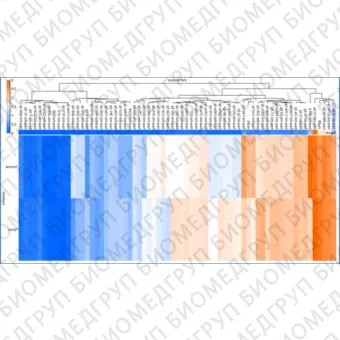 Панель для профилирования миРНК, Multiplex miRNA Assay Stem Cell Panel  Cellular, Abcam, ab204062, 96 тестов