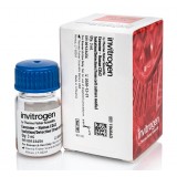 Регент для изоляции и детекции экзосом Exosome-Dynabeads Human CD63, Thermo FS, 10606D, 3 мл