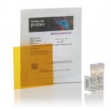 Краситель SYBR Green Nucleic Acid Gel Stain Starter Kit, Thermo FS, S7580, 1 набор