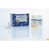 Набор QIAEX II Gel Extraction для выделения ДНК из гелей, Qiagen, 20051, 500 выделений