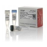 ДНК-полимераза Platinum Taq DNA Polymerase High Fidelity, Thermo FS, 11304102, 5000 реакций