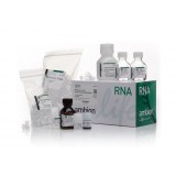 Набор RNAqueous-4PCR Total RNA Isolation Kit, Thermo FS, AM1914, 30 выделений