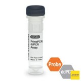 Набор EIF2C1 CNV PrimePCR ddPCR, 200 реакций, Bio-Rad, 1863300