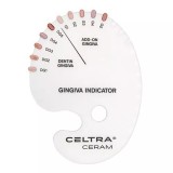 Celtra Ceram, Шкала цветов Shade Gingiva Indicator, 1шт. DeguDent