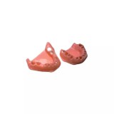 E06G сменные десны для фантомной челюсти эластичные розовые