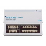 Spofadent Plus (А2) 1/40-0/7-1/62