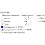 Стандарт N-гликанов AdvanceBio APTS Man6 / M6 (ранее ProZyme)