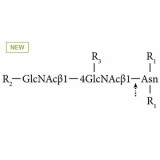 AdvanceBio N-Glycanase-ultra (PNGase F, без ЭДТА), ≥10 ЕД/мл (ранее ProZyme)