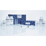 Набор QIAGEN Plasmid Plus Giga Kit для выделения плазмидной ДНК(5 реакций)