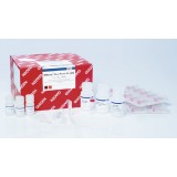 Набор RNeasy Plus Micro Kit для выделения тотальной РНК(50 реакций)