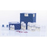 Набор QIAGEN EndoFree Plasmid Mega Kit для выделения плазмидной ДНК без эндотоксинов(5 реакций)