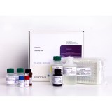 Набор реагентов SVANOVIR® IBR-Ab Confirmation для обнаружения антител к герпес-вирусу КРС типа 1 методом ИФА (цельные планшеты)(10 планшетов)
